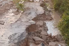  Akses Jalan Desa Sumber Harum ke Sido Mulyo Terancam Putus Akibat Hujan dan Kerusakan Parah