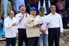 Presiden Prabowo Manfaatkan Teknologi Drone untuk Tebar Benih Padi di Lahan Optimalisasi 105 Ribu Hektar