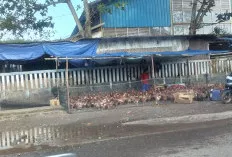 Jelang Lebaran, Penjual Ayam Negeri Bermunculan di Pasar Randik Sekayu