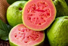 Secara Alami, Ini Makanan yang Dapat Menaikkan Trombosit!