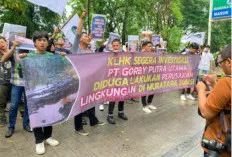 Dianggap Merusak Lingkungan, Aktivis Lingkungan Sumsel – Jakarta Minta LHK Mencabut IUP PT Gorby Putra Utama 