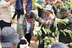 Jaga Kelestarian Lingkungan, Herman Deru Tanam Pohon Khas Daerah dan Instruksikan Perbaikan WTP Kebun Raya Sri