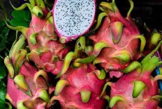 Tidak Hanya Cantik, Beragam Manfaat Bagi Tubuh Anda!