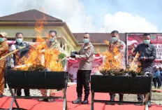 Tabuh Genderang Perang Lawan Narkoba, Irjen Pol Sandi Nugroho Musnahkan Ratusan Kilo Ganja Siap Edar