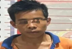 Amankan Pelaku Rudapaksa Anak Bawah Umur 
