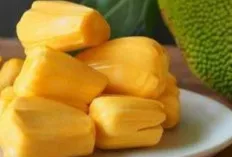 Rahasia Kesehatan Tersembunyi dalam Nangka: Dari Jantung Sehat hingga Kulit Bercahaya