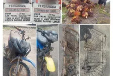 Dua Pria Ditangkap Polisi Usai Curi 1 Ton Sawit di Muba