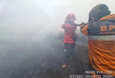 12 Hektar Lahan Purun di Pangkalan Lampam Terbakar, Manggala Agni Lakukan Water Bombing