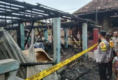 Tragis! Tiga Penghuni Tewas dalam Kebakaran Rumah di Prabumulih