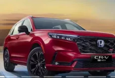 Honda CR-V Generasi Terbaru Resmi Meluncur, Padukan Kemewahan Premium dengan Teknologi Hybrid Canggih