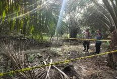 Kerangka Manusia Ditemukan di Tiga Posisi, Berjarak 3 Meter dan 10 Meter