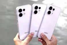 Oppo Reno 16 Series Versi Global Akhirnya Rilis, Apa Saja Bedanya dengan Model China?