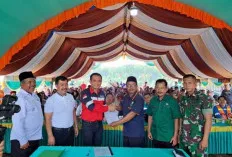 Luar Biasa! Bekas Tambang Batubara Disulap Menjadi Wisata Menarik
