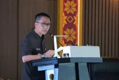 Honorer Tidak Linier Bisa Ikut CASN Tahun 2024, Begini Mekanisme Nya 