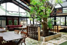 Ombé Kofie: Cafe dengan Konsep Sederhana namun Aesthetic di Jakarta