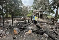  Dinsos Salurkan Bantuan Bupati HM Toha untuk Korban Kebakaran di Danau Cala