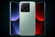 Nih, Smartphone Xiaomi Peforma Gahar, Kamera Memukau, Harga Bersahabat