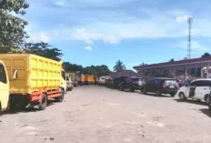 Mandatori B50 Resmi Berlaku, Sopir Minta Solar Mudah Didapat, Petani Sawit Berharap Harga TBS Naik