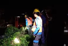 Damkar Muba Padamkan Kebakaran Akibat Korsleting Listrik di Sekayu