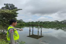Pantau Buaya di Dalam Kolam