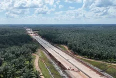 Tol Betung–Tempino–Jambi Jadi Kunci Baru Konektivitas Sumatera, Begini Perkembangan Pembangunanya