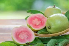 Jangan Abaikan! Inilah Manfaat Luar Biasa Jambu Biji untuk Kesehatan Anda