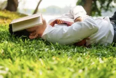 Apa Sih Manfaat Tidur Siang? Simak Artikel Berikut ini!