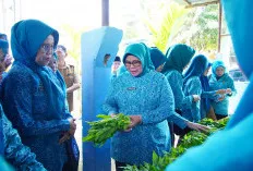 TP PKK Muba Intensifkan Pembinaan 10 Program Pokok PKK di Jirak Jaya