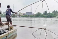 Ramai-Ramai Warga Bentangkan Tangkul, Jaring Ikan “Mudik”
