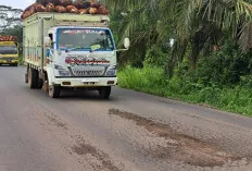 Waduh, Akses Jalan Sungai Lilin – Keluang Muba Kembali Mengalami Kerusakan, Belum Lama Diperbaiki 