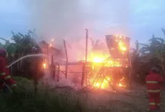 Satu Rumah di Desa Bailangu Sekayu Ludes Terbakar, Kerugian Capai Rp250 Juta
