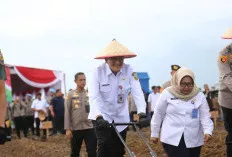 Polda Sumsel Gelar Tanam Jagung di Lahan Rawan Karhutla, Wujud Sinergi Ketahanan Pangan