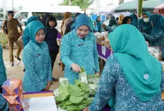 Lidyawati Cik Ujang Perkuat Kader PKK Banyuasin: Dasawisma Ditegaskan Garda Terdepan Penurunan Stunting