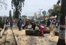 2 Jemaah Sholat Idul Fitri Meninggal Tertimpa Pohon di Pemalang, Tenryata Gegara Ini