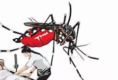 Pergantian Musim Pancaroba, Dinkes OKI Imbau Jaga LIngkungan 