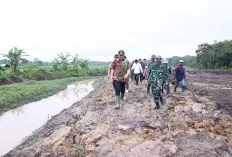 Panen 3 Kali Setahun! Bupati Enos Optimis Kesejahteraan Petani Meningkat