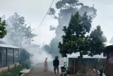 Cegah Penyakit DBD, Puskesmas Pengandonan Lakukan Fogging