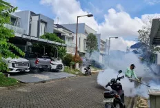 Ini Langkah Proaktif Melawan DBD di Kota Palembang 