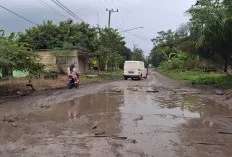 Akses Sekayu - Pali Rusak Parah, Butuh Perhatian Pemprov Sumsel