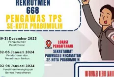 Buruan Daftar! Dibutuhkan 688 Orang sebagai Pengawas TPS di Prabumulih, Ini Syaratnya 