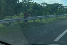 Di Pinggir Ruas Tol Banyak Pedagang Berjualan Buah ini