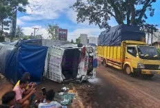 Truk Bermuatan Cabai Terbalik di Tikungan Pertamina Sungai Lilin, Tiga Orang Terluka