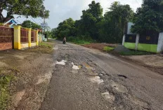 Waspada Jebakan Maut! Kerusakan Jalan Menuju GBL Sekayu Kian Memprihatinkan