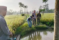 Dua Bocah di Ogan Ilir Ditemukan Meninggal di Sumur