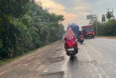 Km 16 Sampai Km 65 Jalintim: Jalur Berlubang yang Menanti Perbaikan Nyata
