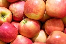 Buah-buahan ini Banyak Mengandung Serat, Ternyata  Baik Dikonsumsi Penderita Diabetes