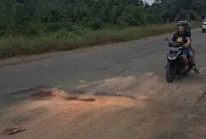  Jalan Rusak di Jalintim Sungai Lilin Kembali Muncul, Pengendara Terancam Bahaya