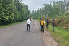 Ditodong Pakai Sajam, Supir Fuso Lari Ketakutan, Mobil Fuso Serta Uang Dibawa Kabur Perampok 