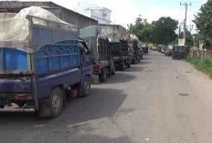 Muncul Perda Sampah Baru, Tarif Angkut Sampah Alami Kenaikan 