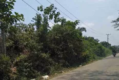 Gelap Gulita! Jalan Menuju Desa Macang Sakti Muba Membahayakan Pengguna Jalan